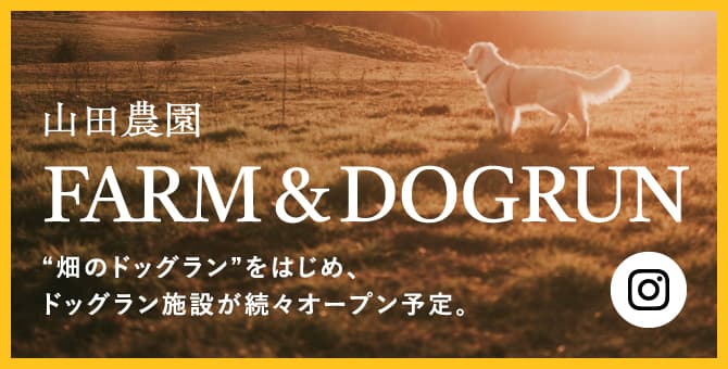 山田農園FARM&DOGRUN “畑のドッグラン”をはじめ、 ドッグラン施設が続々オープン予定。公式instagramはこちら